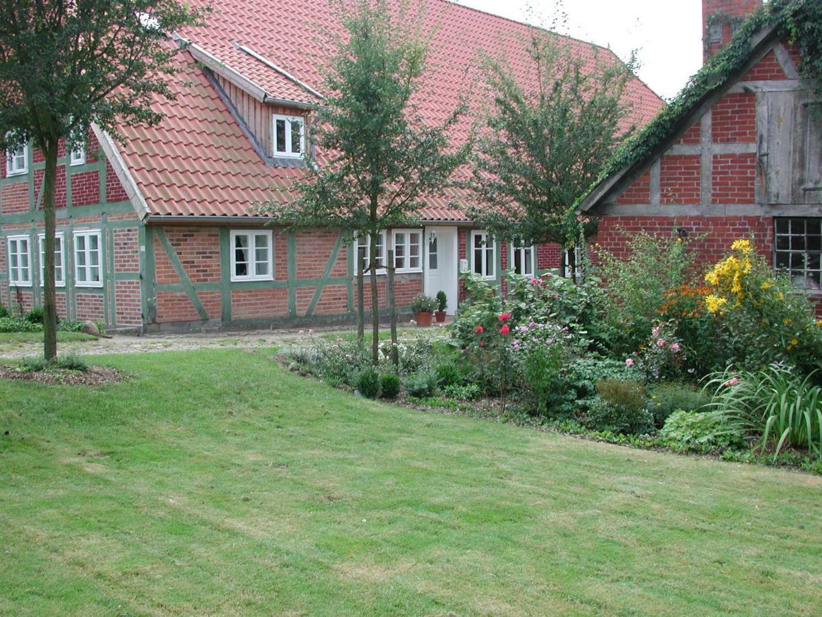 Ferienwohnung Am Elbdeich Блекеде Екстер'єр фото